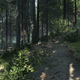 Illustration for article titled When Video Game Screenshots Look More Like Photos